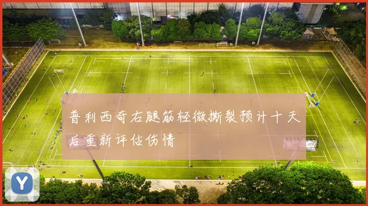 普利西奇右腿筋轻微撕裂预计十天后重新评估伤情